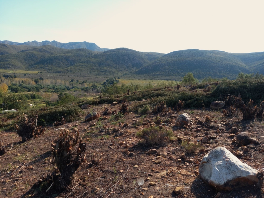 0 Bedroom Property for Sale in Haarlem Western Cape